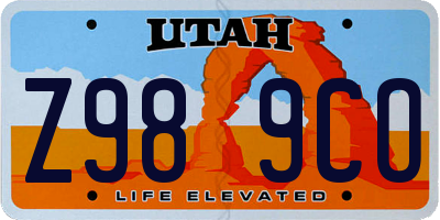 UT license plate Z989CO