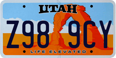 UT license plate Z989CY