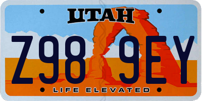 UT license plate Z989EY