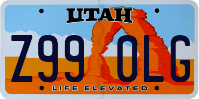 UT license plate Z990LG