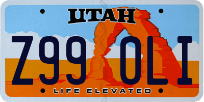 UT license plate Z990LI