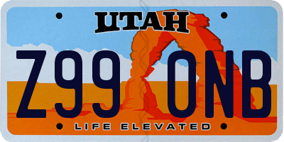 UT license plate Z990NB