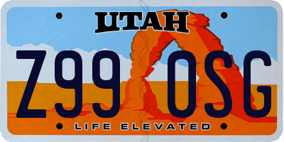 UT license plate Z990SG