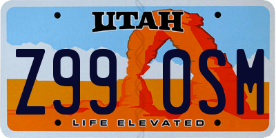 UT license plate Z990SM