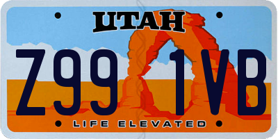 UT license plate Z991VB