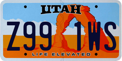UT license plate Z991WS