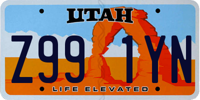 UT license plate Z991YN