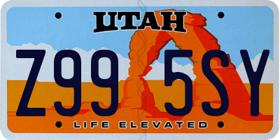 UT license plate Z995SY