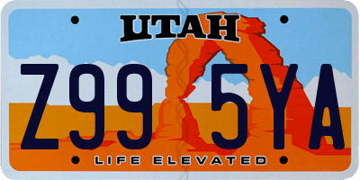 UT license plate Z995YA
