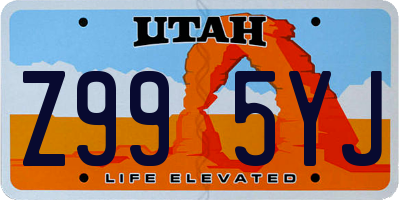 UT license plate Z995YJ