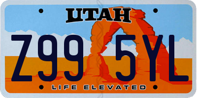 UT license plate Z995YL
