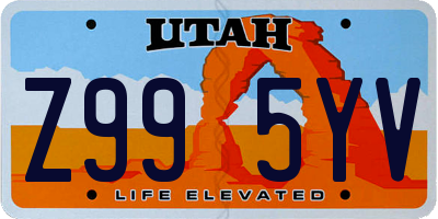 UT license plate Z995YV