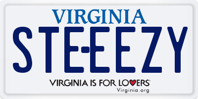 VA license plate STEEEZY