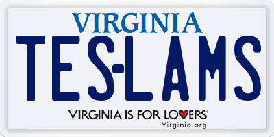 VA license plate TESLAMS