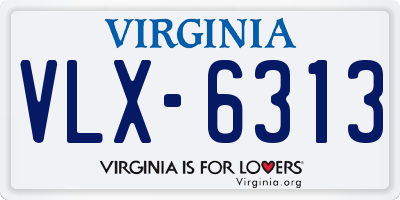 VA license plate VLX6313