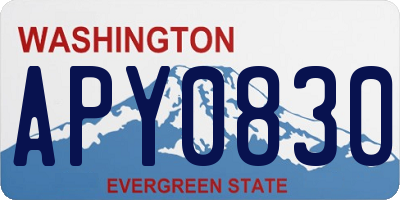 WA license plate APY0830