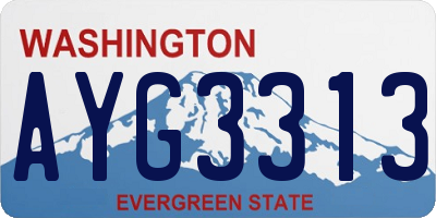 WA license plate AYG3313