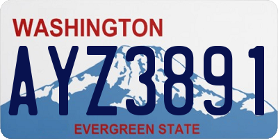 WA license plate AYZ3891