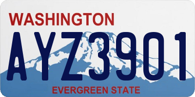 WA license plate AYZ3901