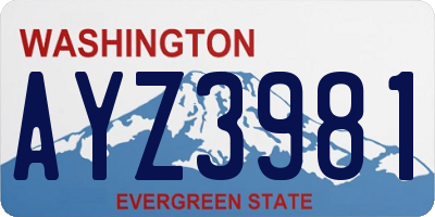 WA license plate AYZ3981