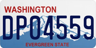 WA license plate DP04559