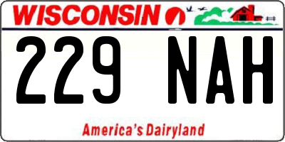 WI license plate 229NAH