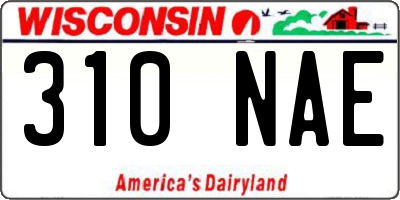 WI license plate 310NAE
