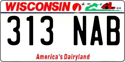 WI license plate 313NAB