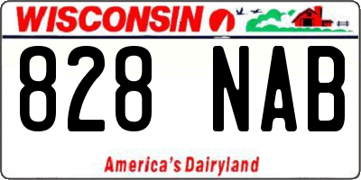 WI license plate 828NAB