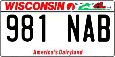 WI license plate 981NAB