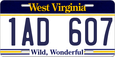 WV license plate 1AD607