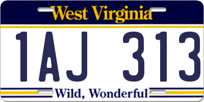 WV license plate 1AJ313