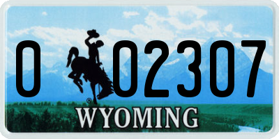 WY license plate 002307