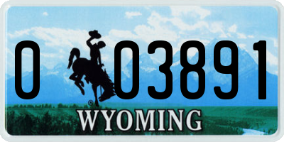 WY license plate 003891
