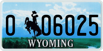 WY license plate 006025