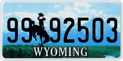 WY license plate 9992503