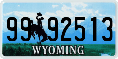 WY license plate 9992513