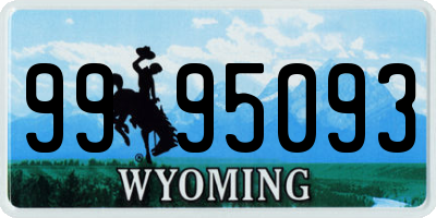 WY license plate 9995093