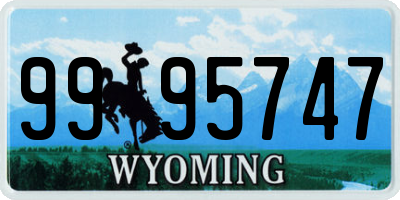 WY license plate 9995747