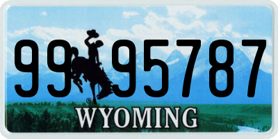 WY license plate 9995787
