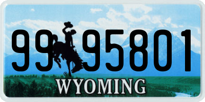 WY license plate 9995801
