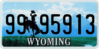 WY license plate 9995913