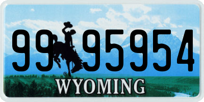 WY license plate 9995954