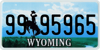 WY license plate 9995965