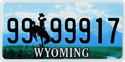 WY license plate 9999917