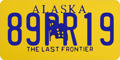 AK license plate 89PR19