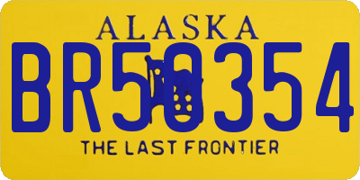 AK license plate BR50354