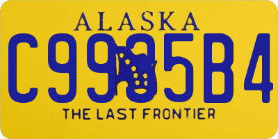 AK license plate C9935B4