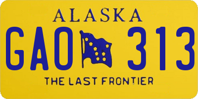 AK license plate GAO313
