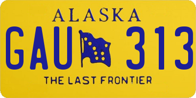 AK license plate GAU313